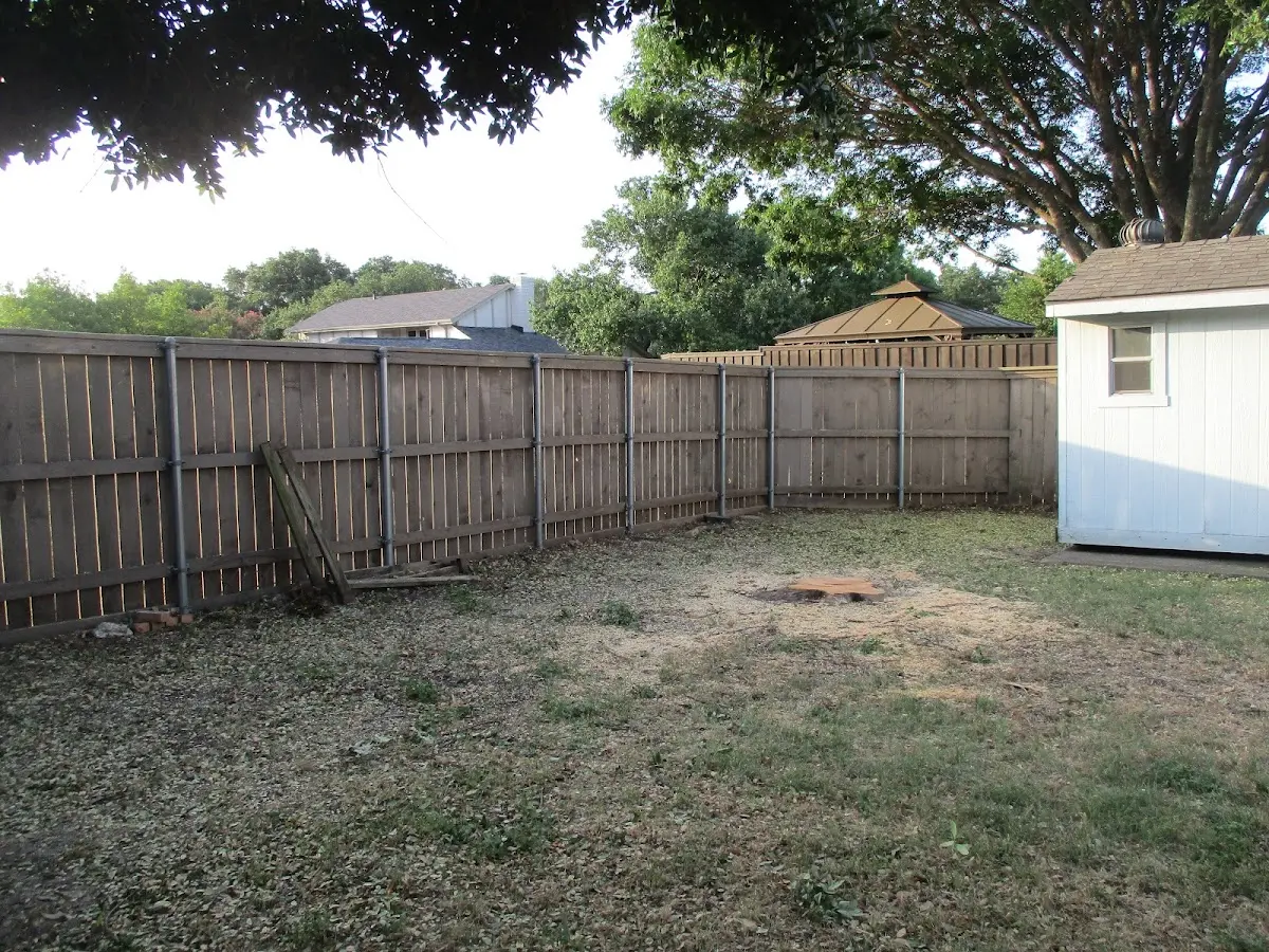 Cleared yard after professional tree removal in Warrenville