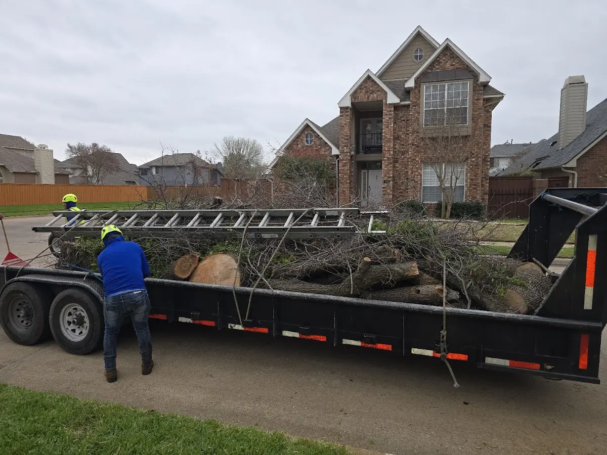 Expert Tree Fertilization with proper safety equipment in Warrenville